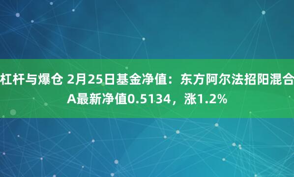杠杆与爆仓 2月25日基金净值：东方阿尔法招阳混合A最新净值0.5134，涨1.2%