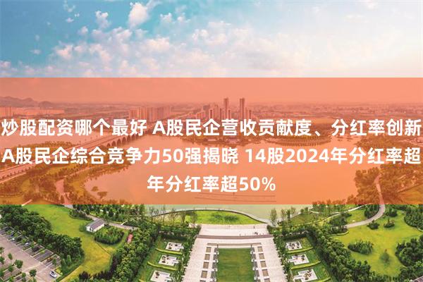 炒股配资哪个最好 A股民企营收贡献度、分红率创新高！A股民企综合竞争力50强揭晓 14股2024年分红率超50%