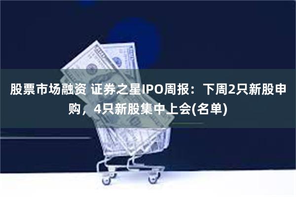 股票市场融资 证券之星IPO周报：下周2只新股申购，4只新股集中上会(名单)
