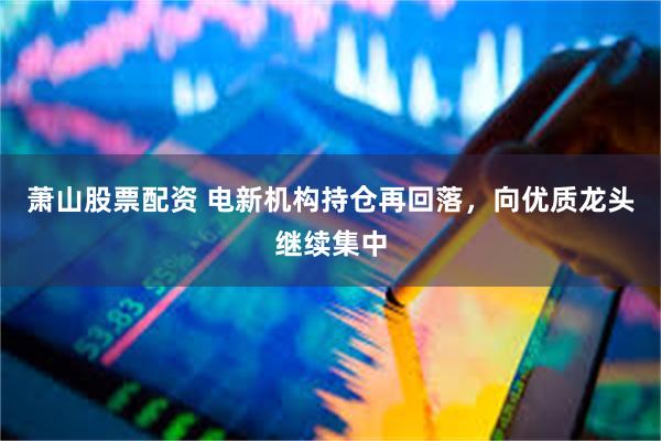 萧山股票配资 电新机构持仓再回落，向优质龙头继续集中