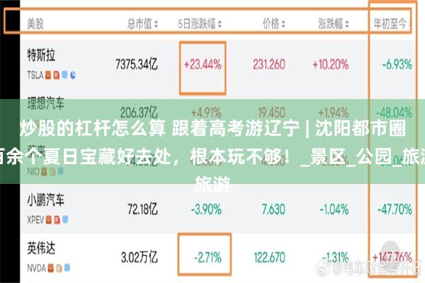 炒股的杠杆怎么算 跟着高考游辽宁 | 沈阳都市圈百余个夏日宝藏好去处，根本玩不够！_景区_公园_旅游